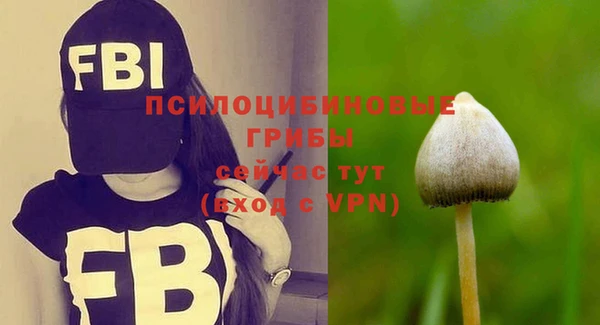 дживик Алексеевка
