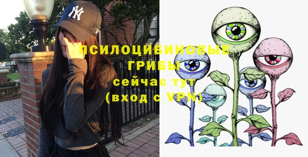 Альфа ПВП Алзамай