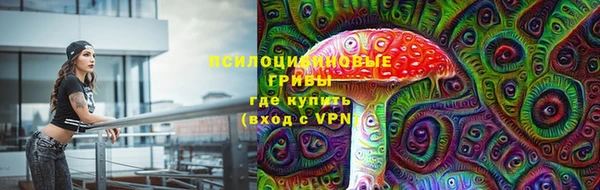 Альфа ПВП Алзамай