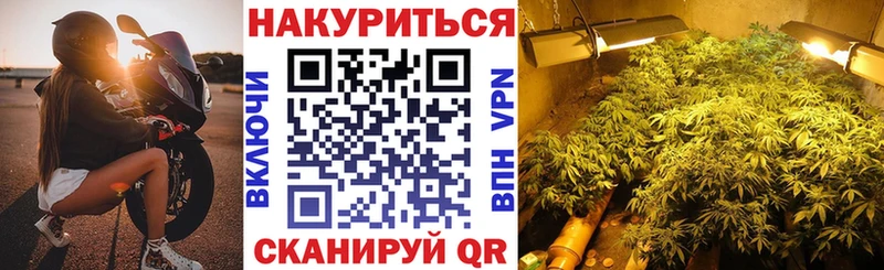 kraken   Гвардейск  Марихуана гибрид  купить наркоту 